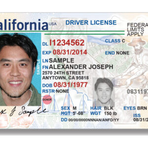 California Driver's License