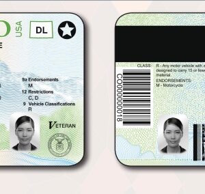 Colorado Driver's License