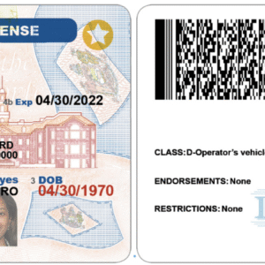 Delaware Driver’s License