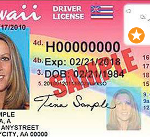 Hawaii Driver's License