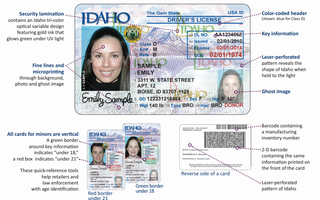 🚗 Buy Driving License Online: The Complete 2025 Guide 🌐
