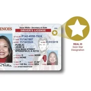 Illinois Driver's License