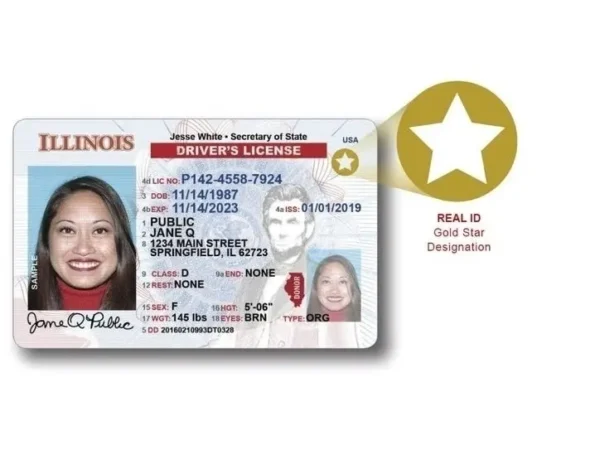 Illinois Driver's License