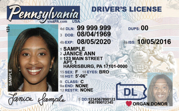 Pennsylvania Driver's License